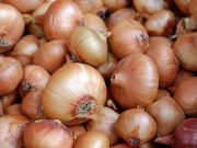 Carroll County Health Department provides information about recall and illnesses linked to whole, fresh onions from ProSource Produce and Keeler Family Farms